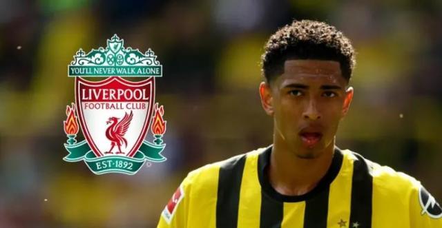 维护一个动 维护一个动